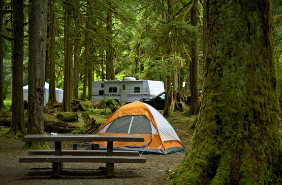 5 Great Camping Spots Near Fairmont Hot Springs, BC
