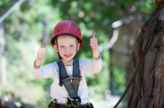 Zip Lines in BC: Fun for the Whole Family