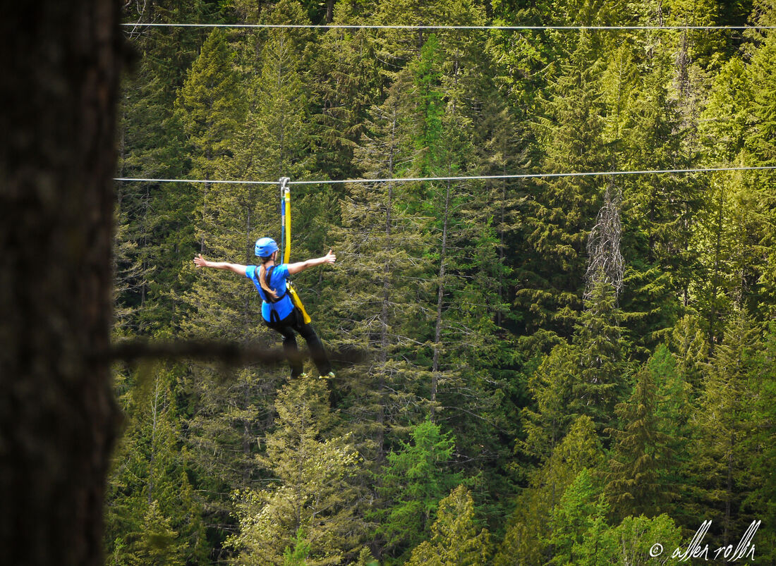 There are plenty of reasons why ziplining in BC should be on your bucket list.